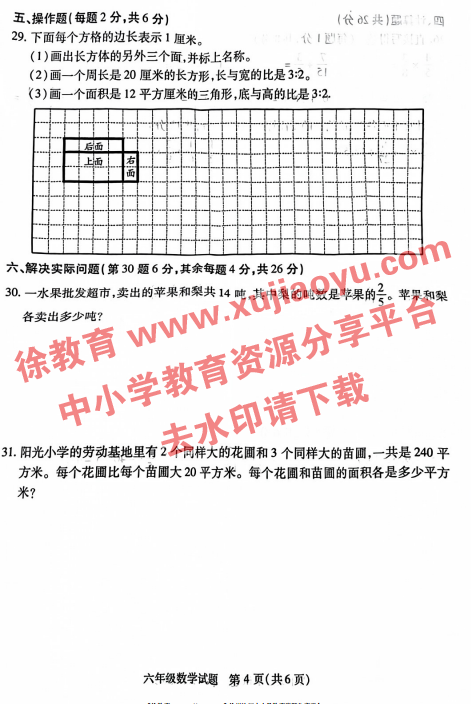 六年级上册数学期末考试卷沛县2023-2024年度