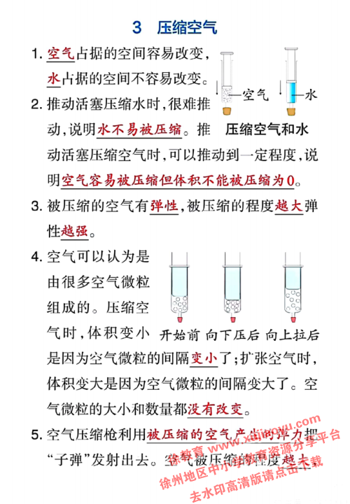 三年级上册科学第二单元知识点总结（教科版）