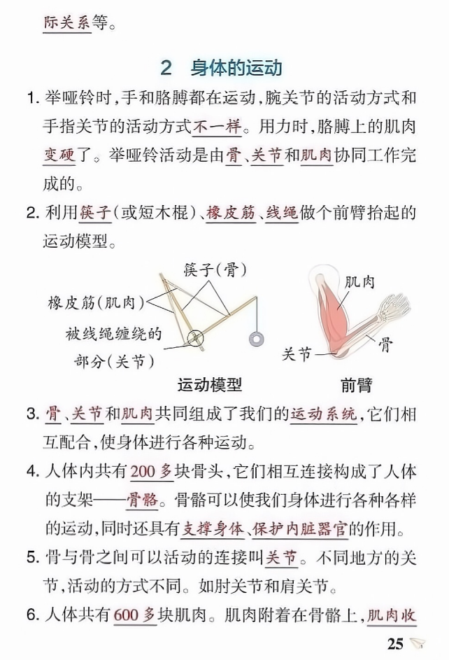 五年级上册科学第四单元知识点总结（教科版）