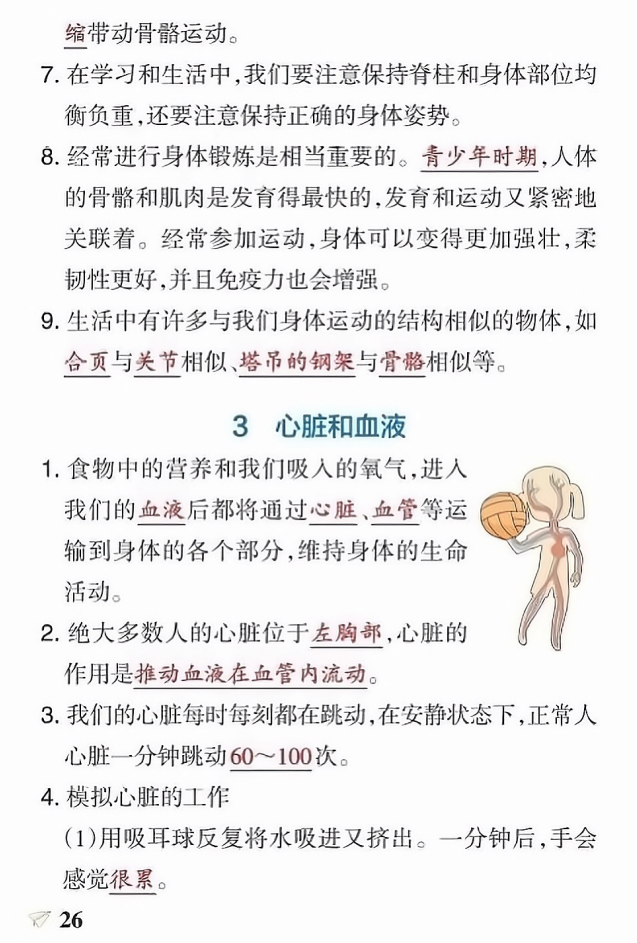 五年级上册科学第四单元知识点总结（教科版）